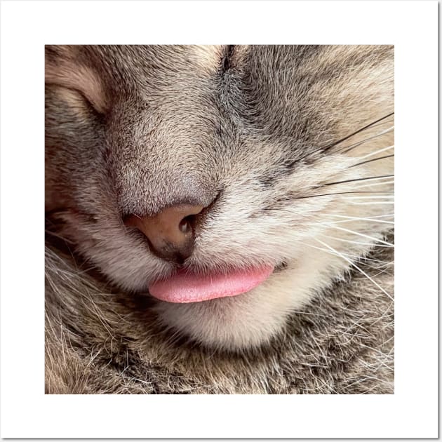 Grey Cat Tongue Blep (gifts) Wall Art by VisualSpice